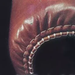 Consew 2040-DSM Sewing Machine With Table And Servo Motor | GoldStar Tool -GoldStar Tool-shop 2040 DSM 4