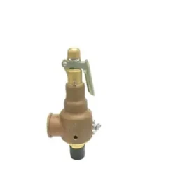 Safety Valve - Pacific Steam #1225 Series | GoldStar Tool