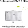 PM2.5 Adult Activated Carbon Filters For Face Masks | GoldStar Tool